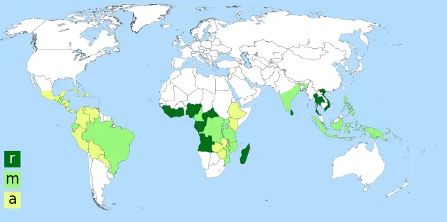 world map of where arabica and robusta are grown